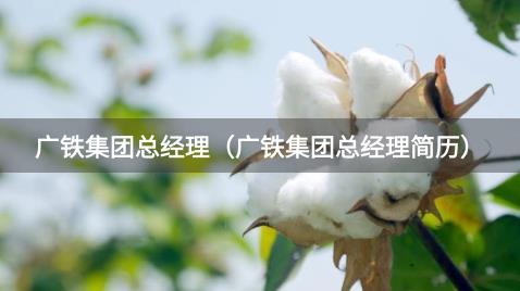 广铁集团总经理(广铁集团总经理简历)
