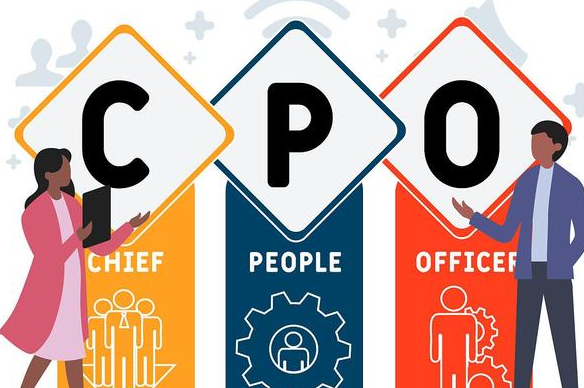CPO概念走高 紫光股份涨停 生益电子等大幅拉升