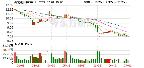 东莞证券IPO进程重启 预警业绩承压寻增长