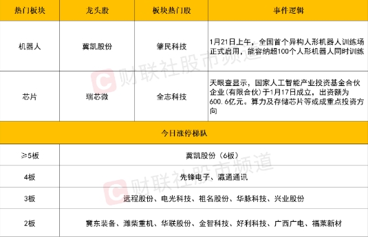 科技股引领市场分化，机器人与半导体板块逆势走强