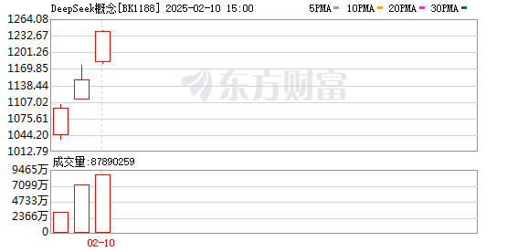 DeepSeek大模型走红吸引投资热潮