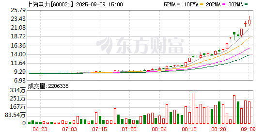 上海电力终止9年跨国并购案