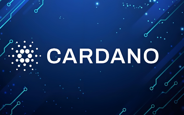 BDC币价格约为0.00004美元 BDC币还有机会吗 BDC币价格约为0.00004美元 BDC币还有机会吗